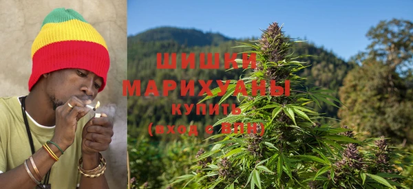 кокс Богородицк