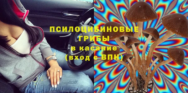 кокс Богородицк